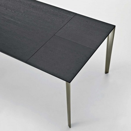 Molteni&C - Filigree Extendable Table