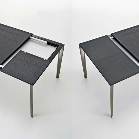 Molteni&C - Tavolo Allungabile Filigree
