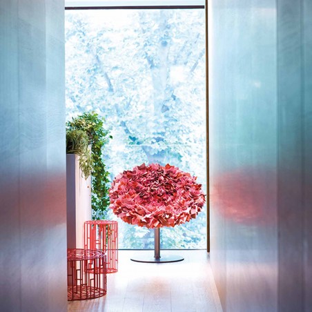 Moroso - Poltroncina Bouquet Moroso